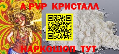 крисы Малгобек