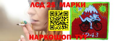 крисы Малгобек