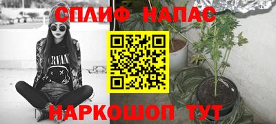 крисы Малгобек