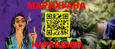 крисы Малгобек