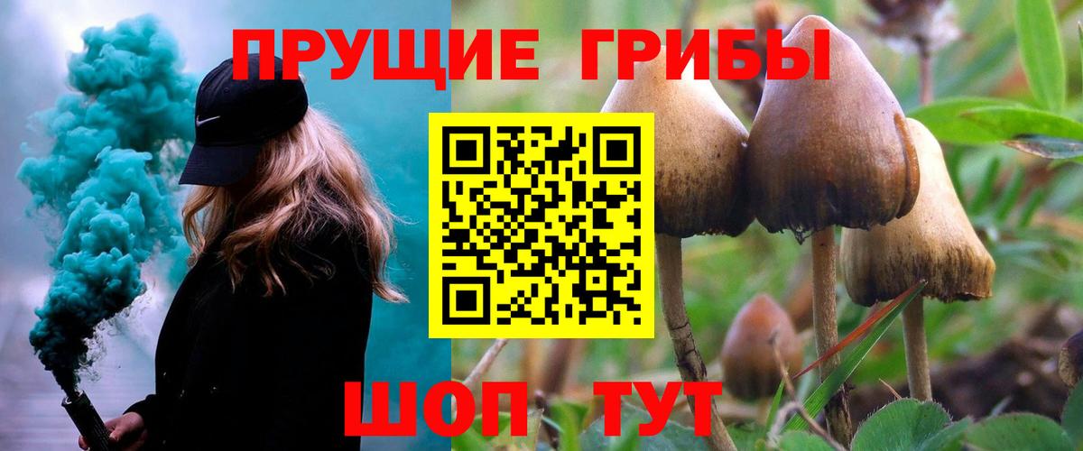 Шебекино  Псилоцибиновые грибы MAGIC MUSHROOMS  Вход с VPN 