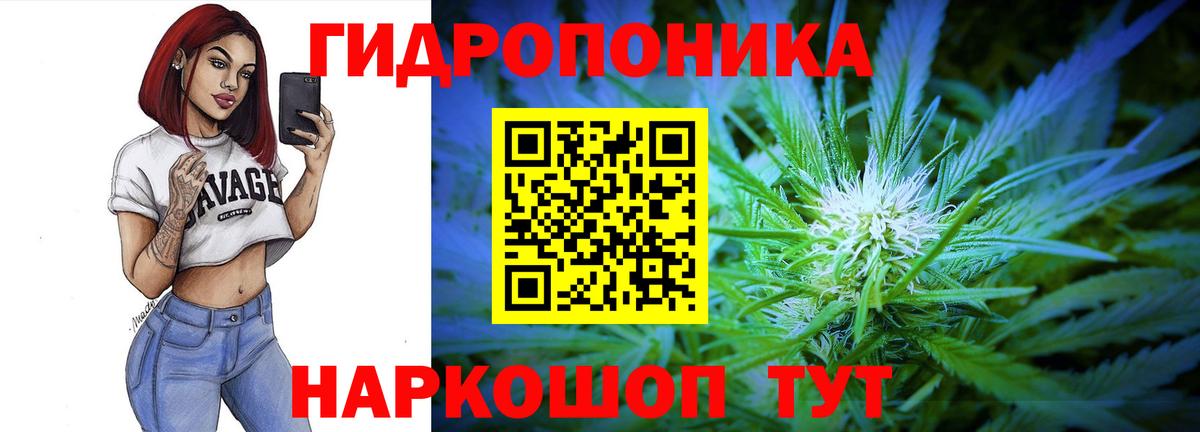 Канабис OG Kush  МАРИХУАНА план  Вход с VPN  Шебекино 